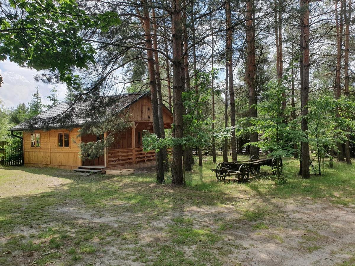 Roztocze U Aleksa Susiec - Jacuzii , Goraca Balia!!! Villa Exterior photo