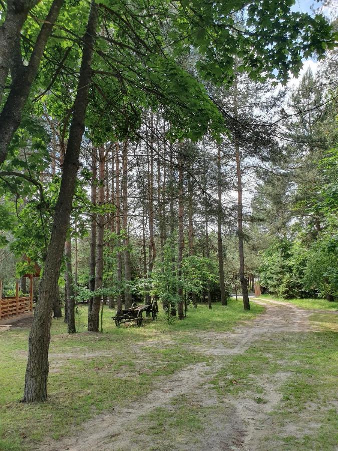 Roztocze U Aleksa Susiec - Jacuzii , Goraca Balia!!! Villa Exterior photo
